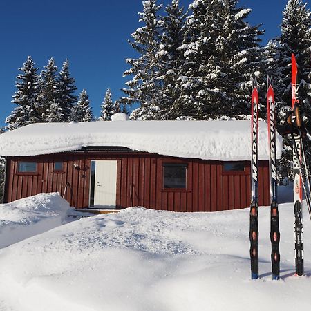 Cabin With Great View Close To Town And Ski Area Lillehammer Exteriér fotografie